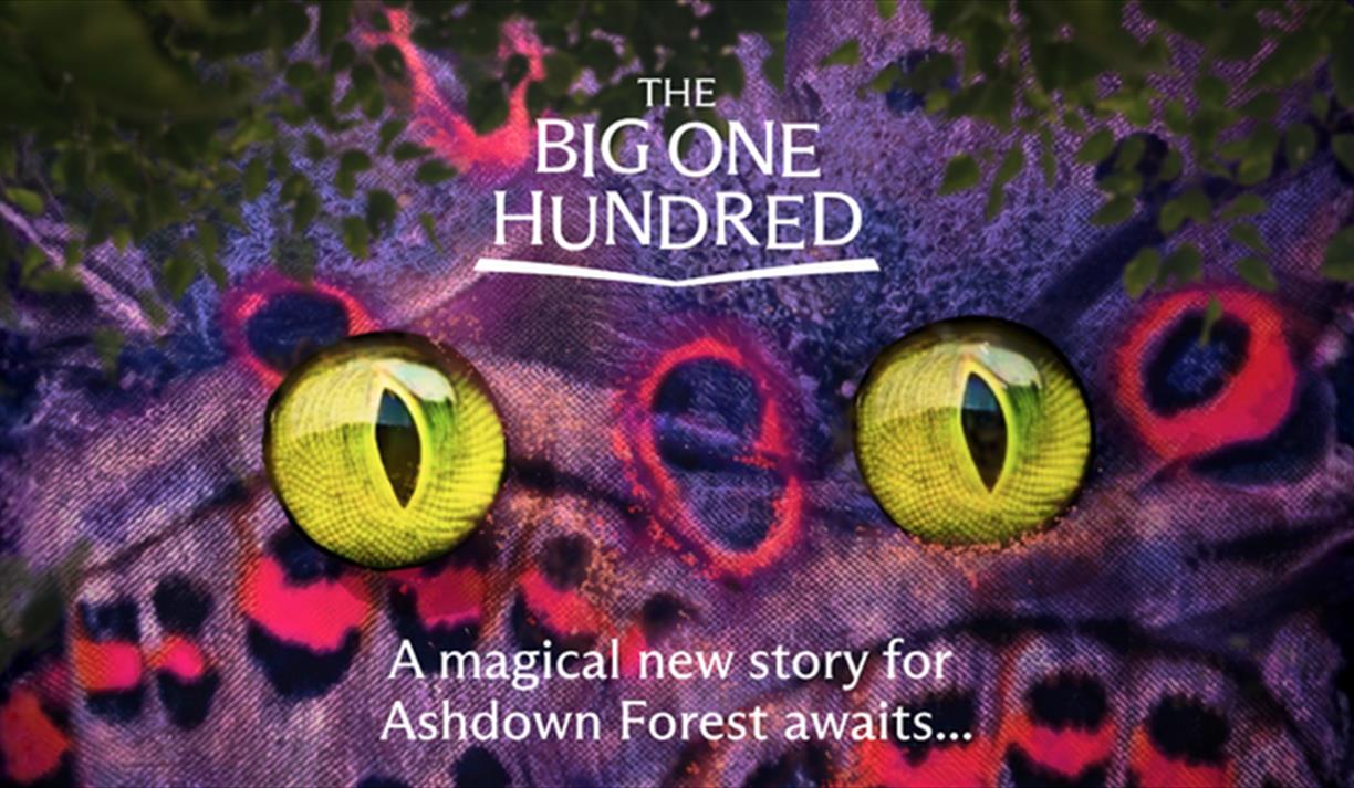 The Big One Hundred