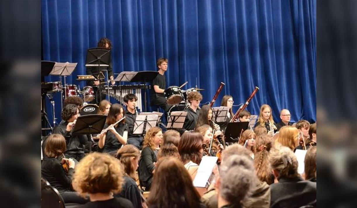 Brighton & East Sussex Youth Orchestra Summer Concert