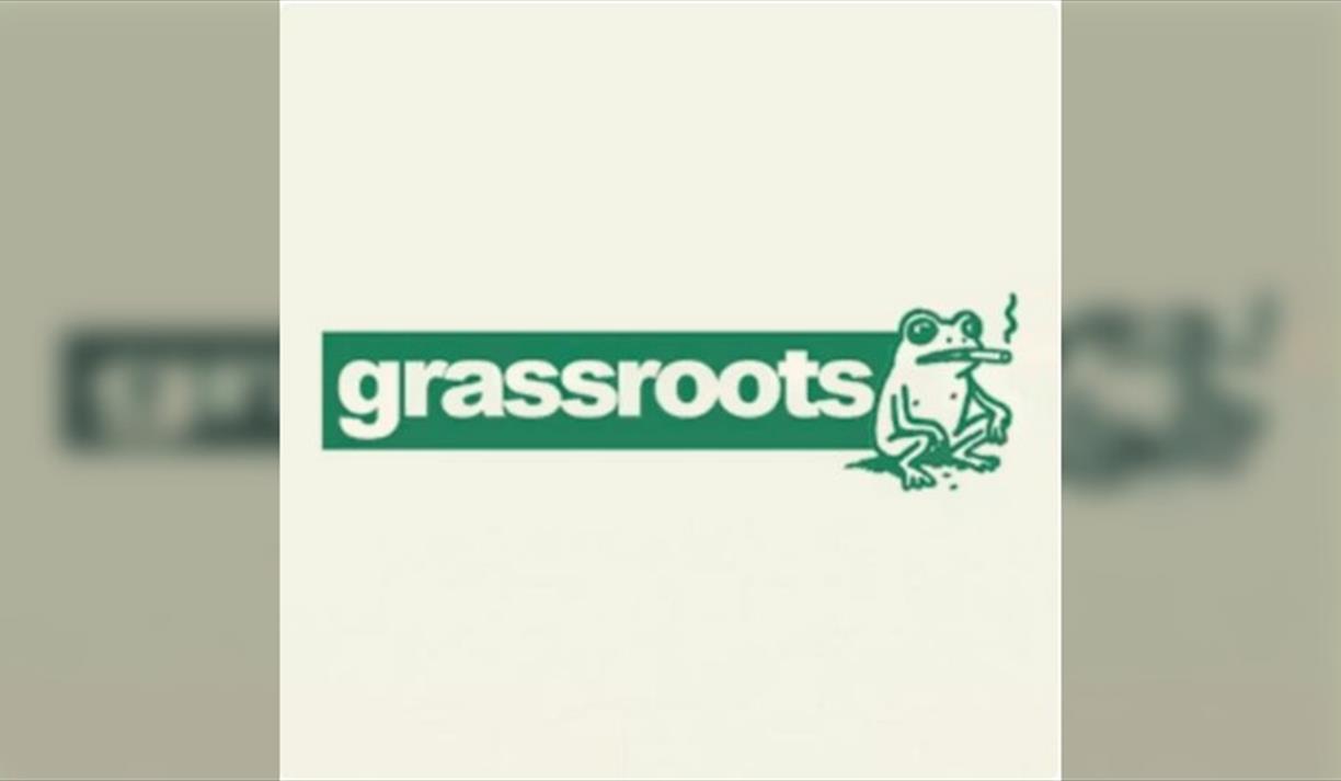 Grassroots - Free First Fridays