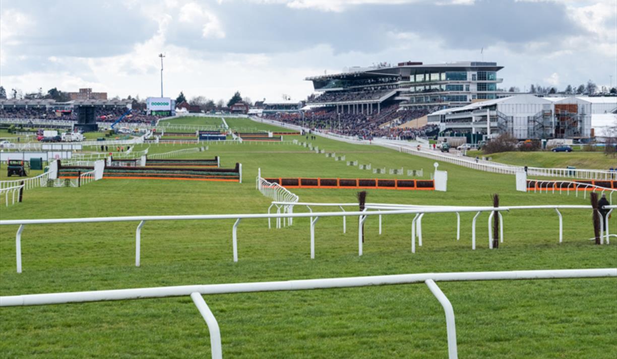 Cheltenham Preview at The Terrace
