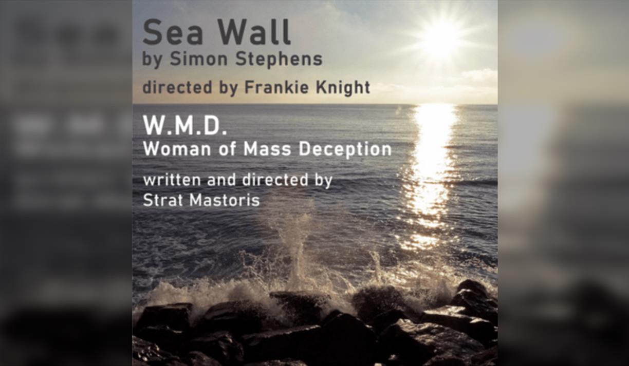 Sea Wall & W.m.d - Woman Of Mass Deception
