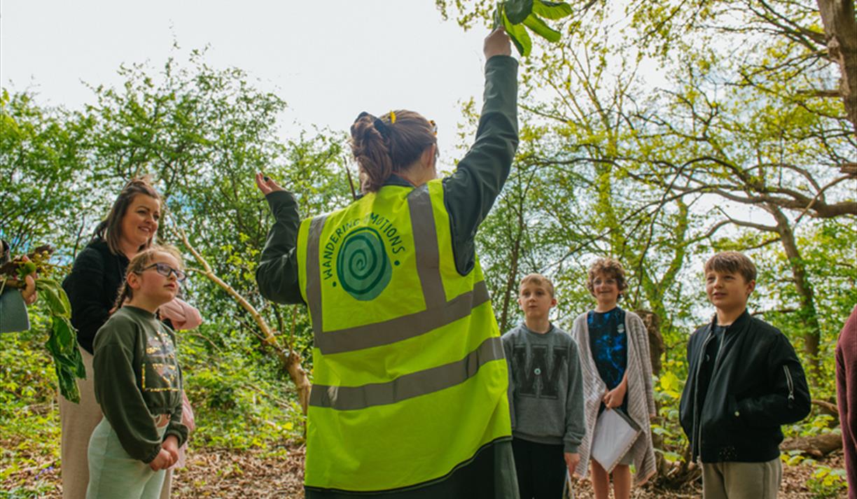 Family Mental Wellbeing Activity Walks