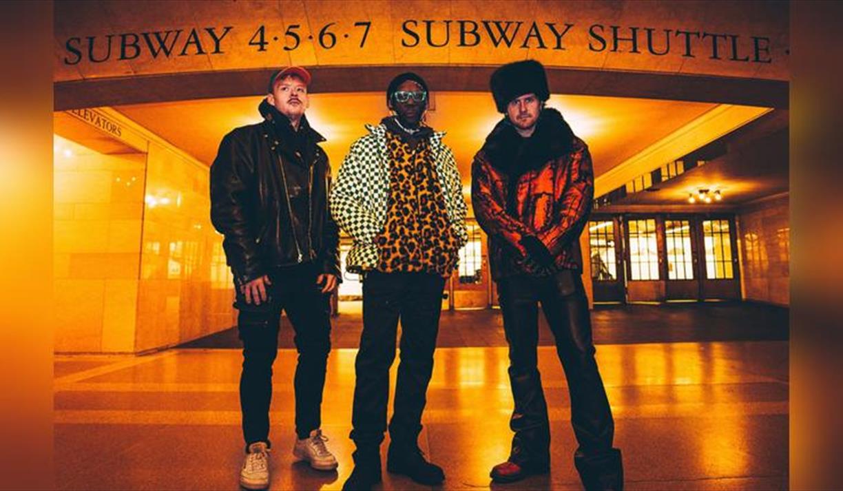 Too Many Zooz