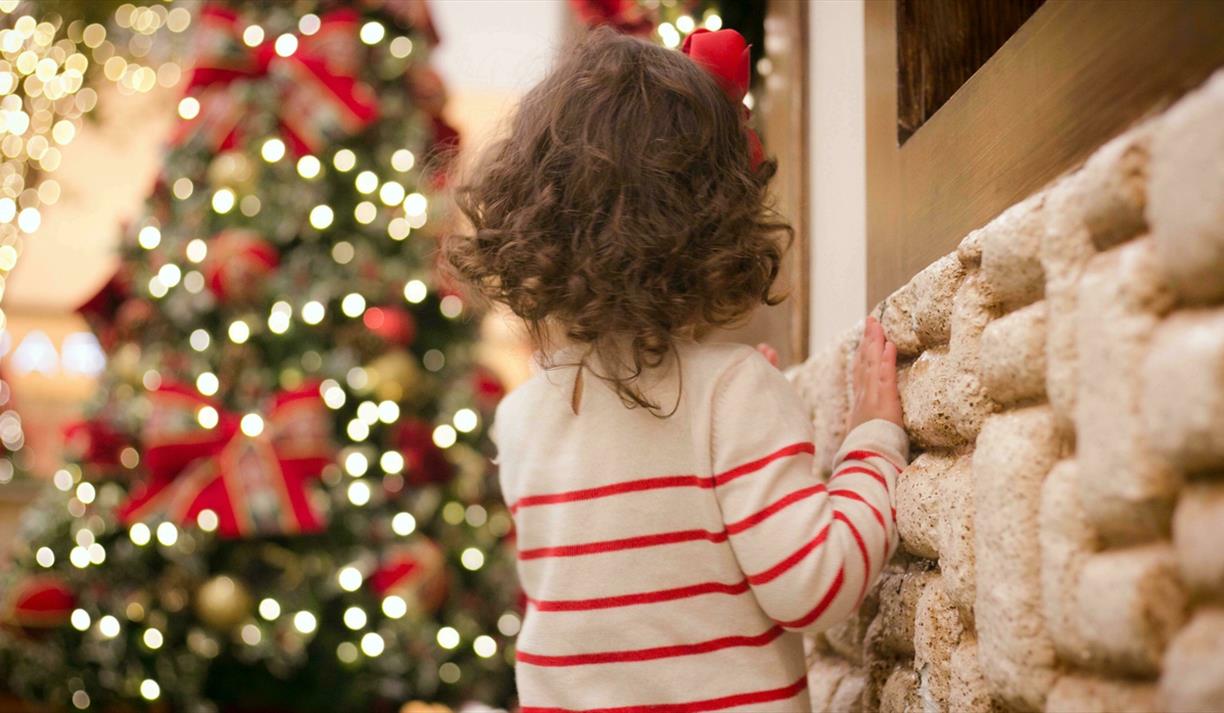 Brown haired child looking at decorated Christmas tree