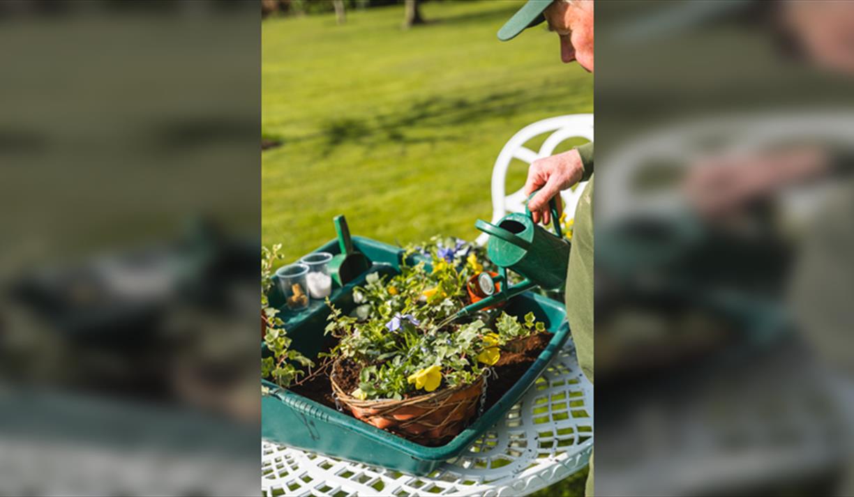 Hanging Basket Workshop with Afternoon Tea