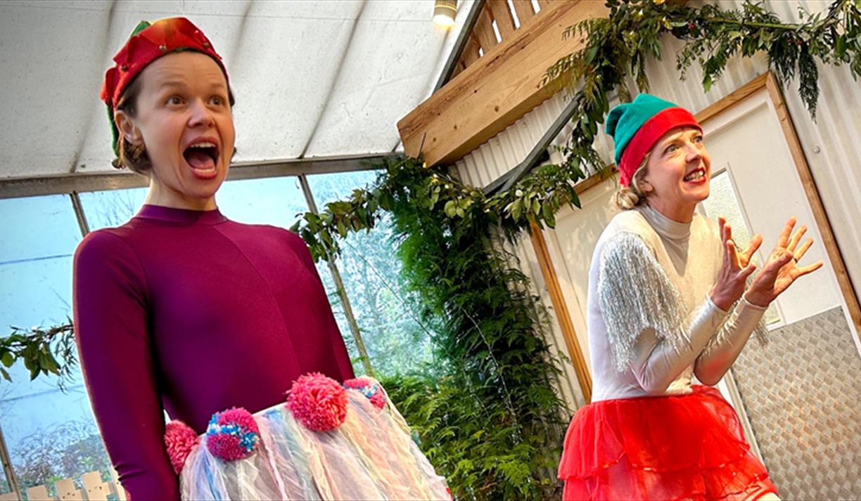 The Christmas Cracker