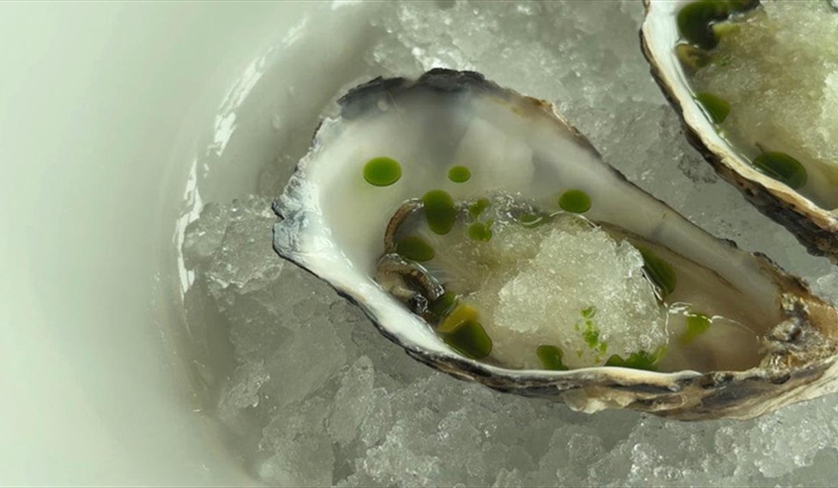 Oyster Opening Masterclass