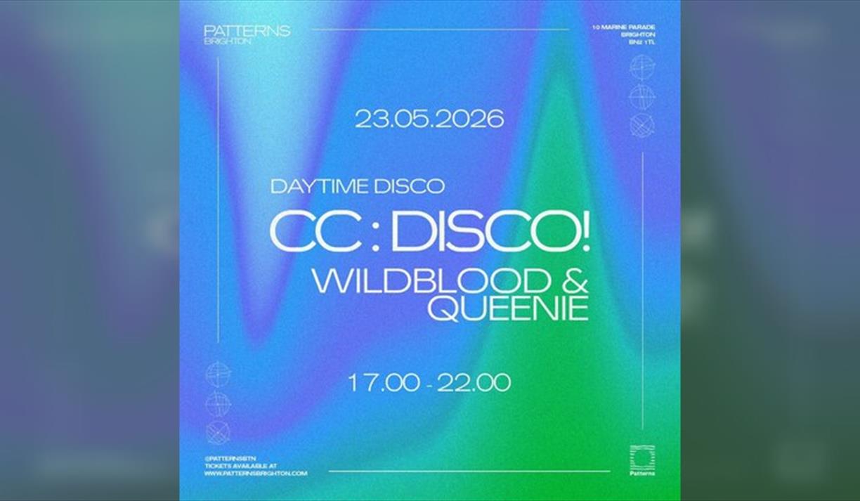 CC:DISCO! Day Party