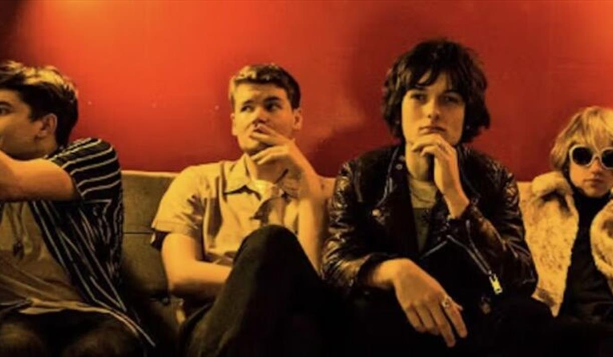 The Velvet Hands