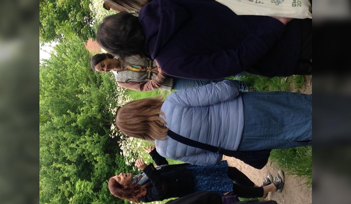 Culpeper's Medicine Garden