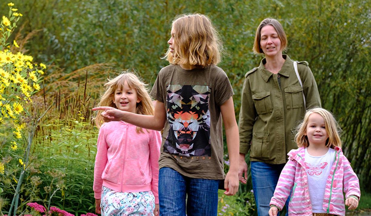Family Dragonfly Walk