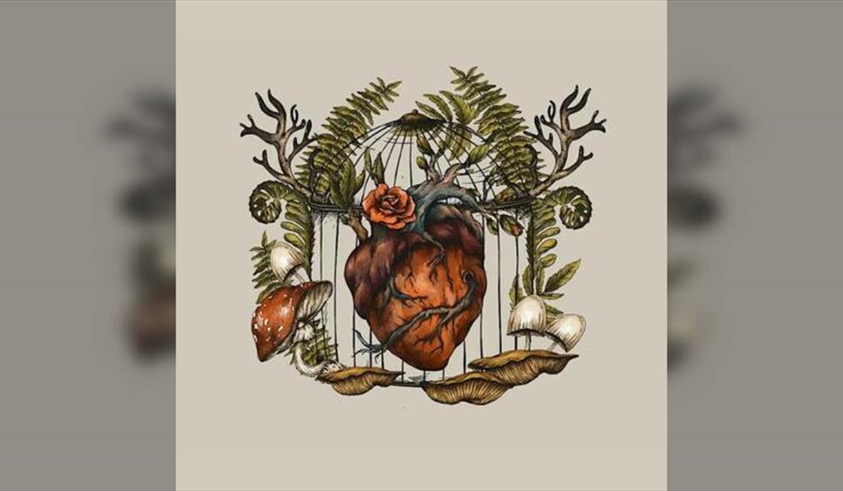 Sylvia Plath, Taylor Swift, & The Power Of The Witch Imagery