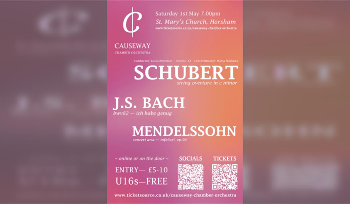 Causeway Chamber Orchestra - Unearthing Masterworks
