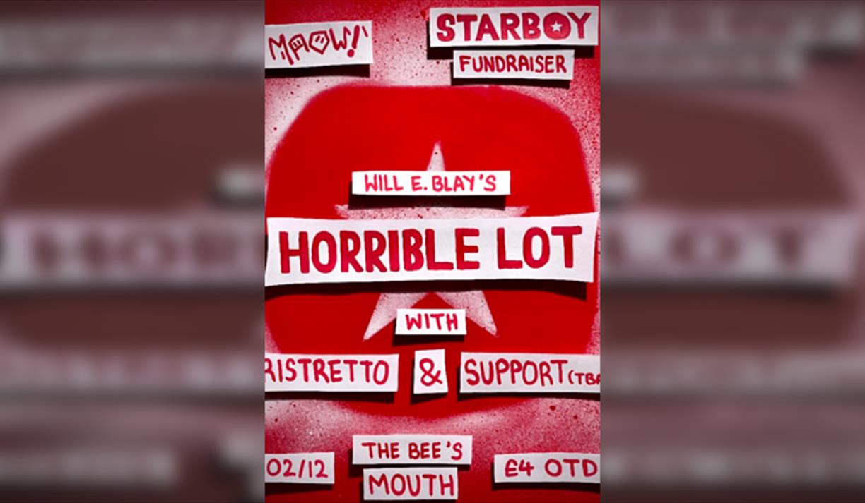 Starboy Fundraiser - Horrible Lot Headline