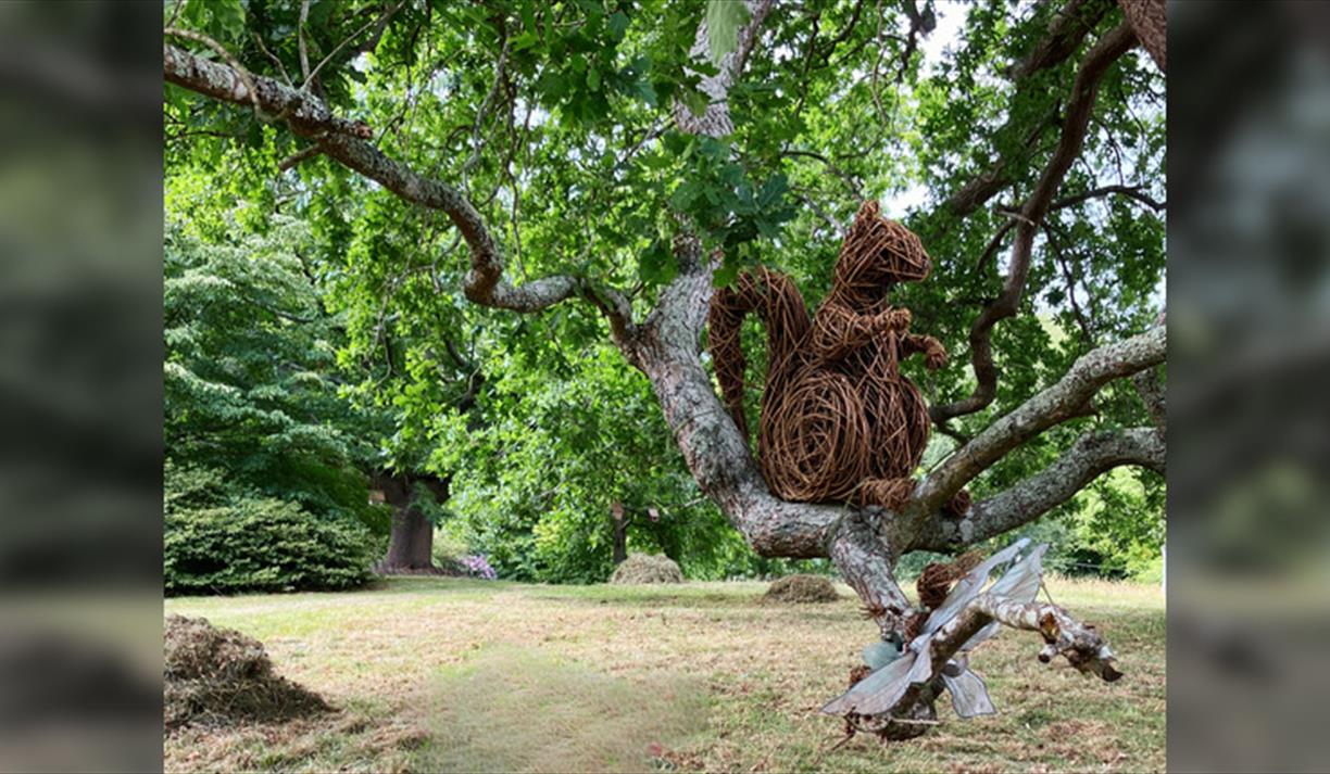 Willow Fairy & Dragon Trail