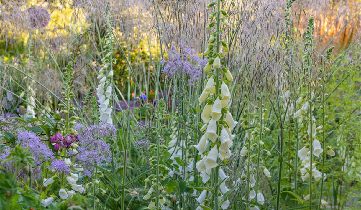 Summer Garden Tutorial