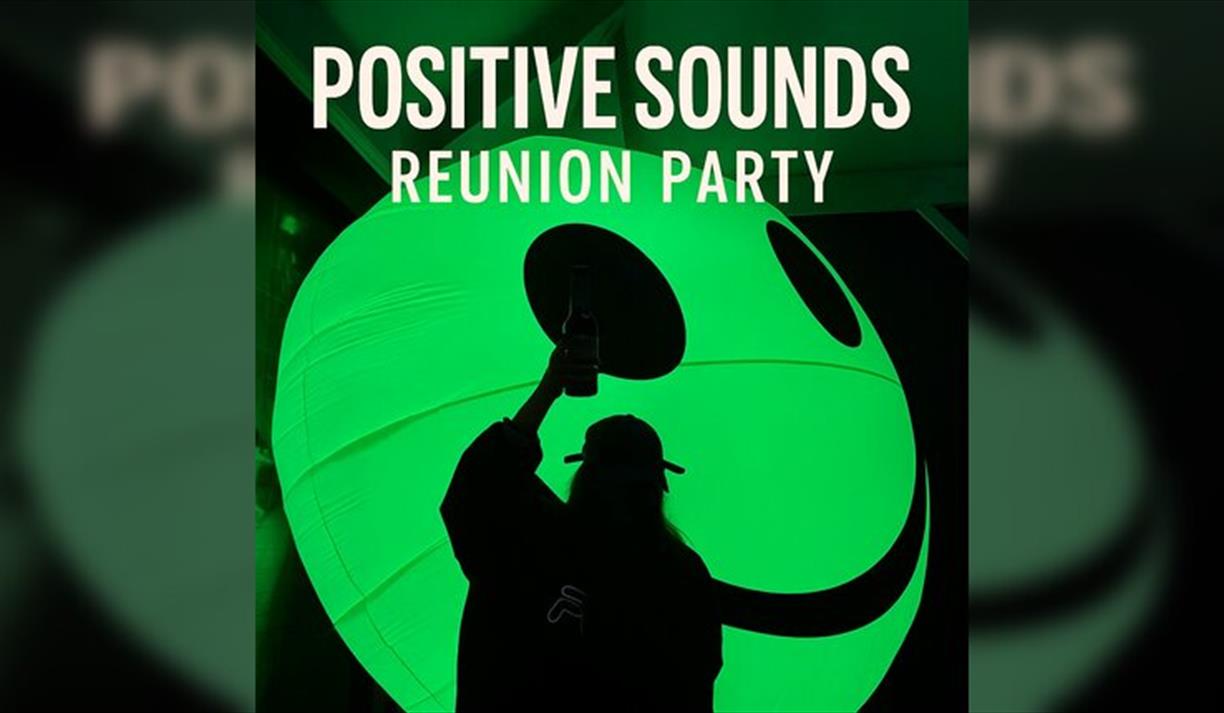 Positive Sounds reunion party