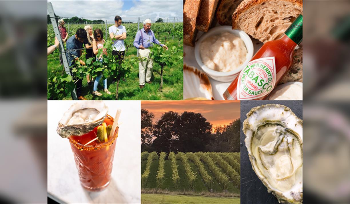 A Day in The Vines - Riddle and Finns & Court garden Vineyard