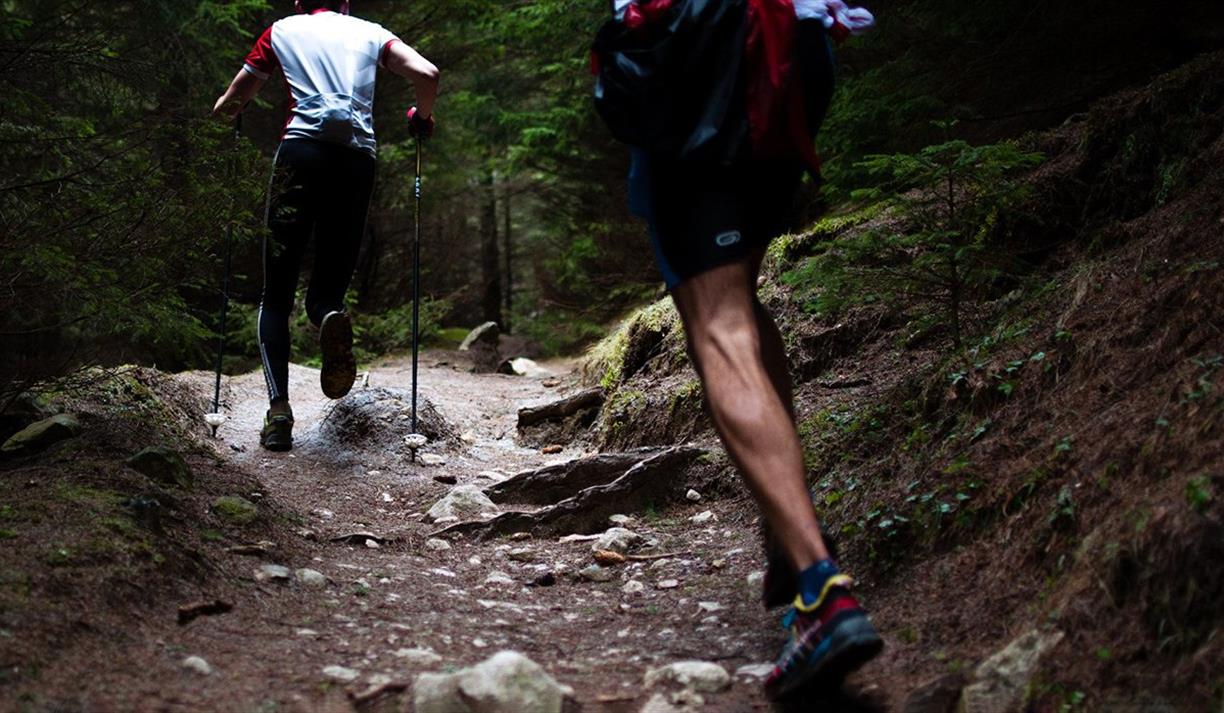 Two people running on a trail