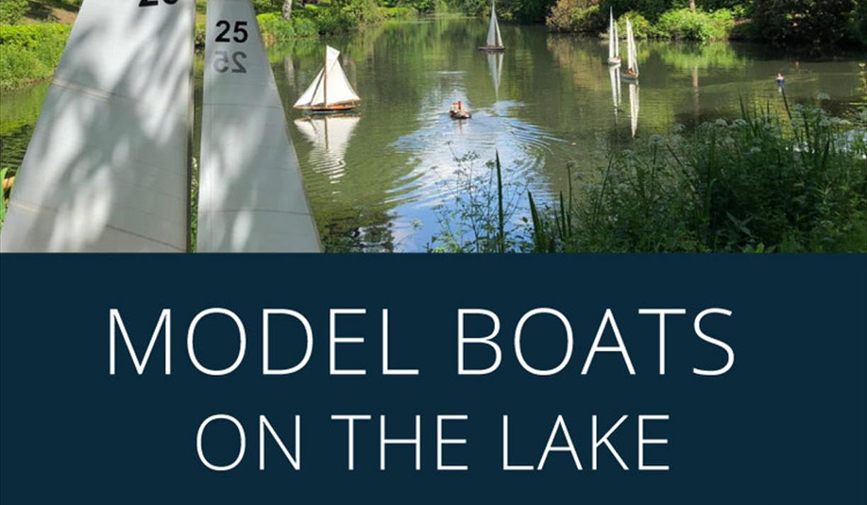 Model Boats on the Lake