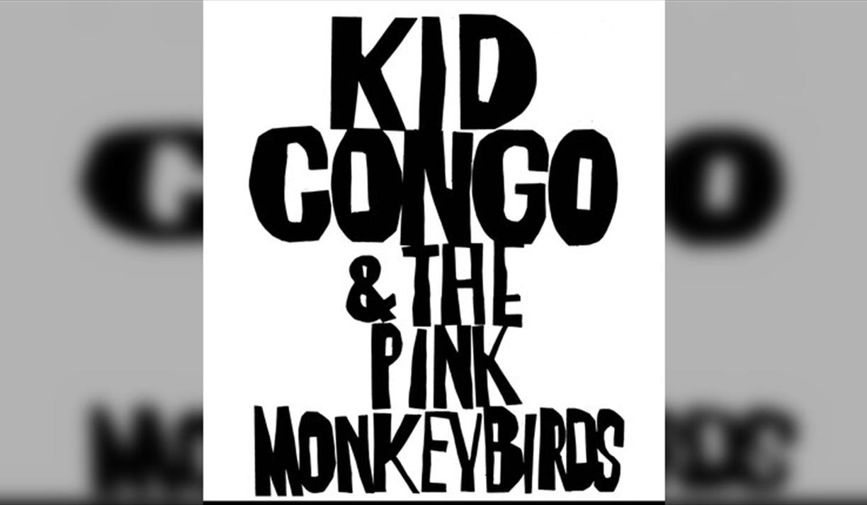 Kid Congo Powers And The Pink Monkey Birds