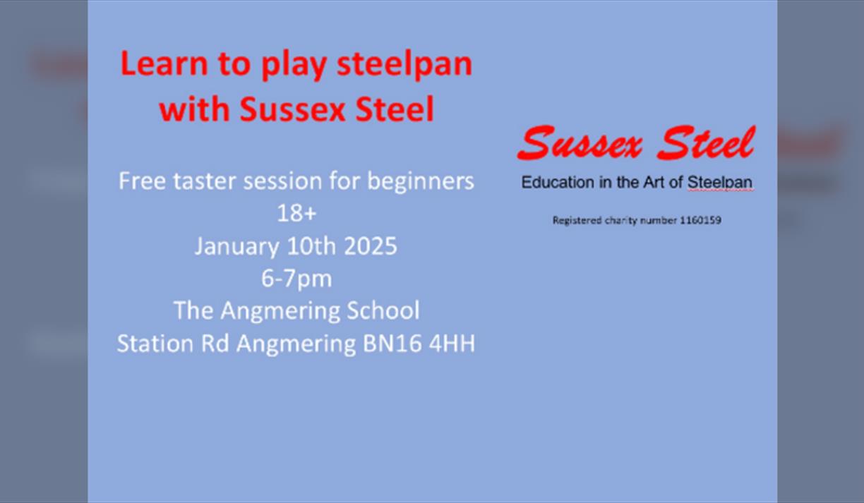 Sussex Steel Steelpan Taster Session - Beginners 18
