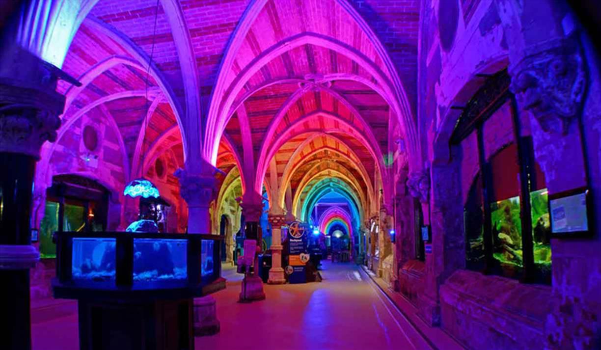 Cocktails & Canapés Under The Sea