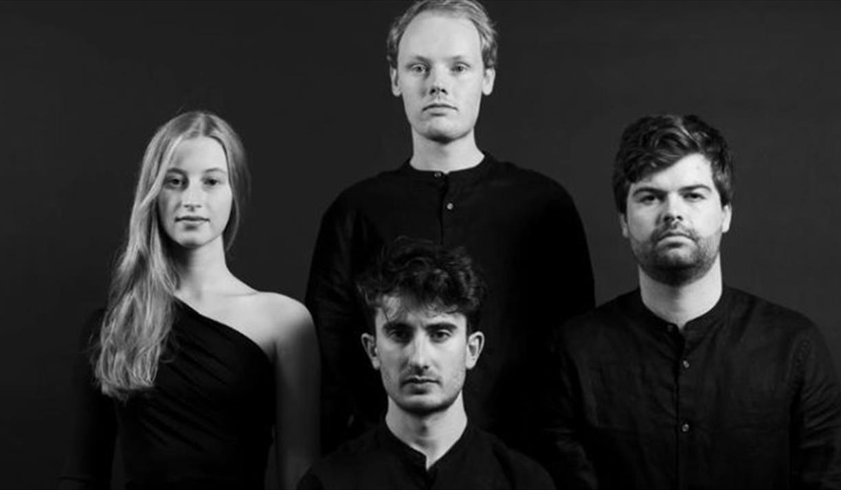 The Fibonacci Quartet