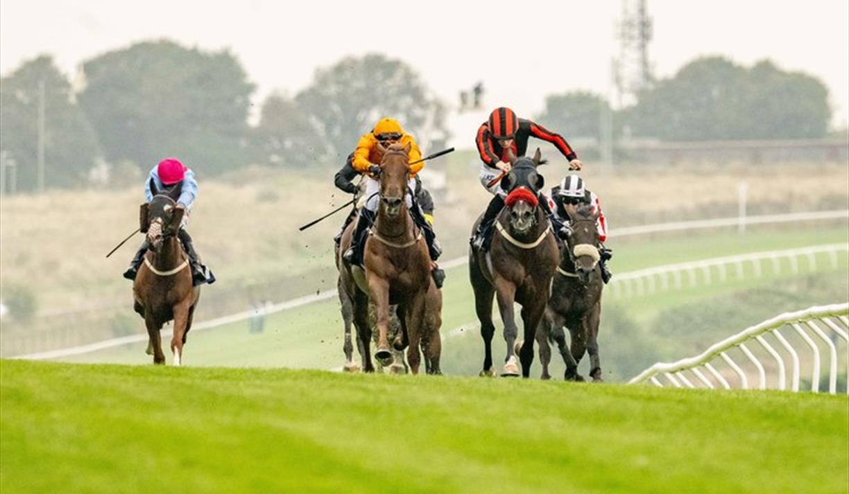 Summer Evening Racing