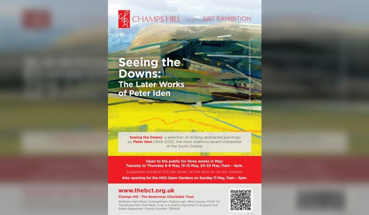Seeing the Downs: The Later Works of Peter Iden