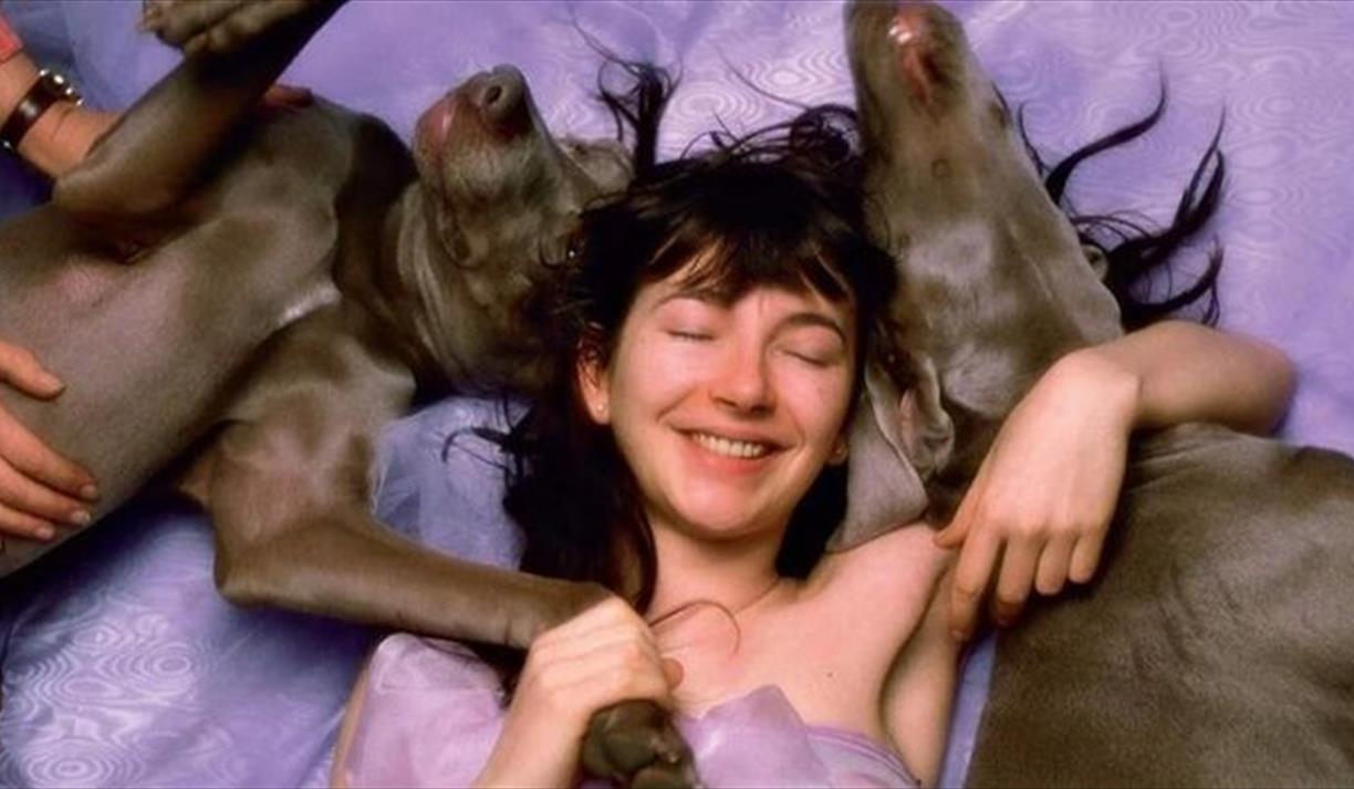 Hounds of Love