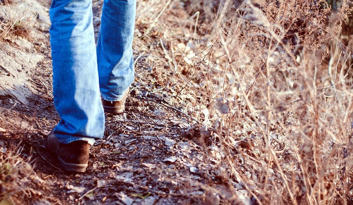 Person in jeans walking on a path