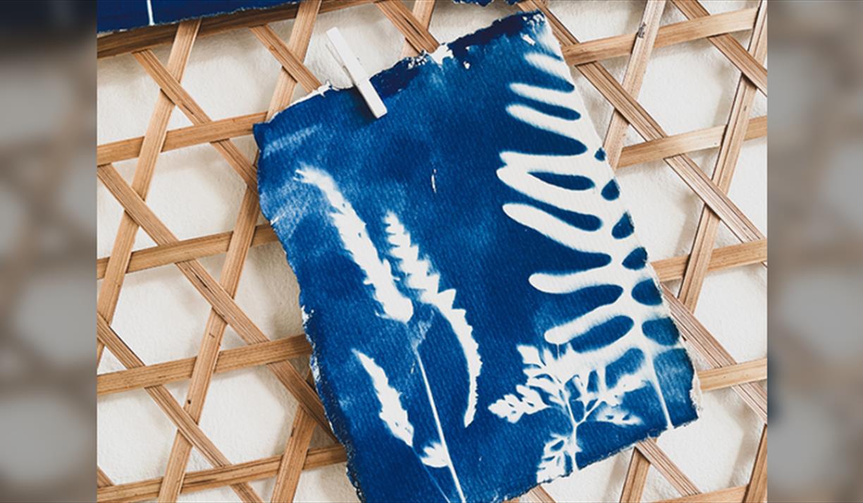 Cyanotype Printmaking: Botanical Postcards