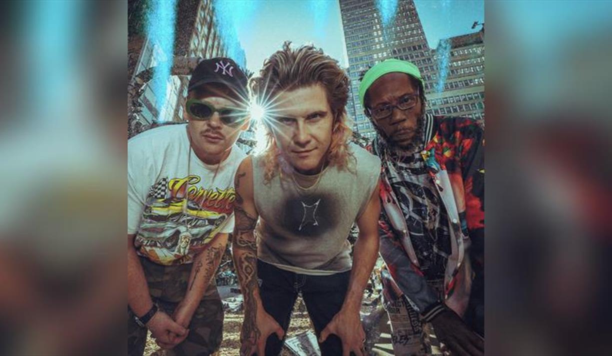 Too Many Zooz