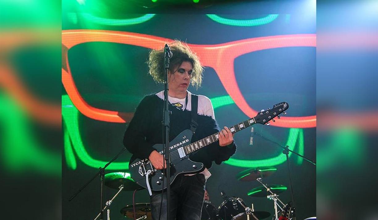 The Cureheads & Siouxsie and the Budgees