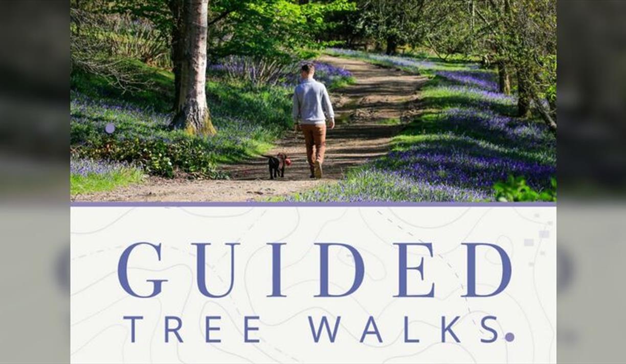 Guided Tree Walks