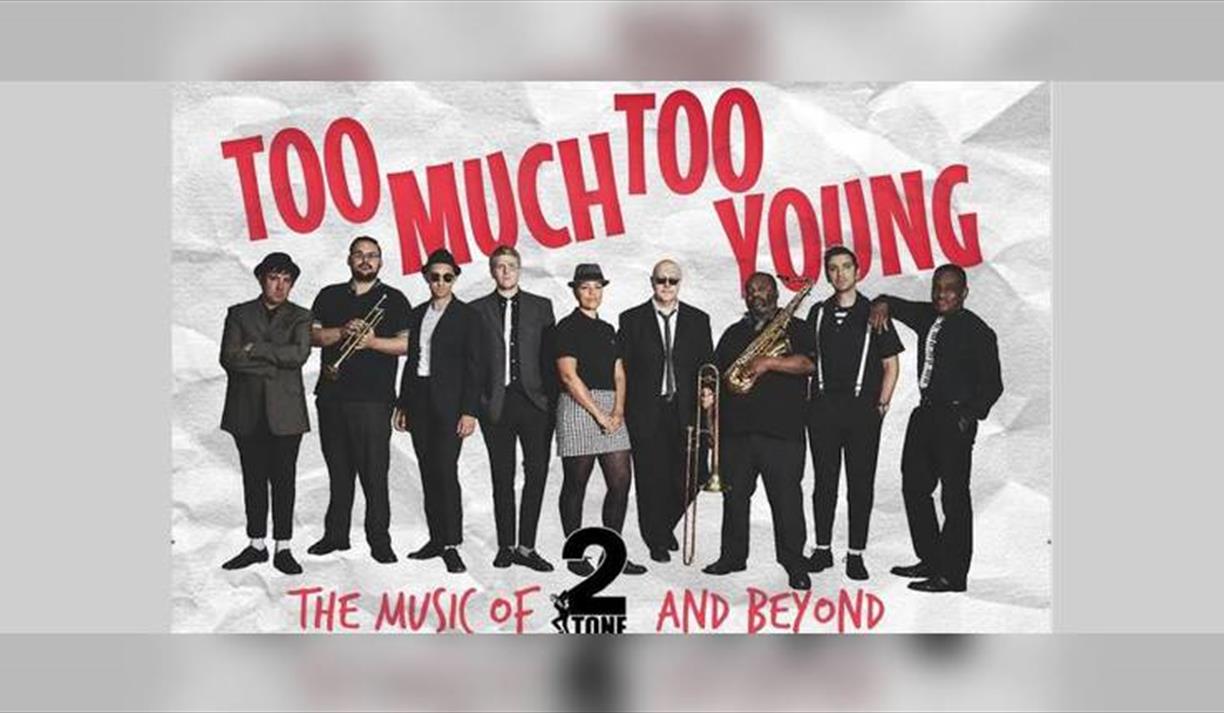 Too Much Too Young - The Story of 2Tone & Beyond!