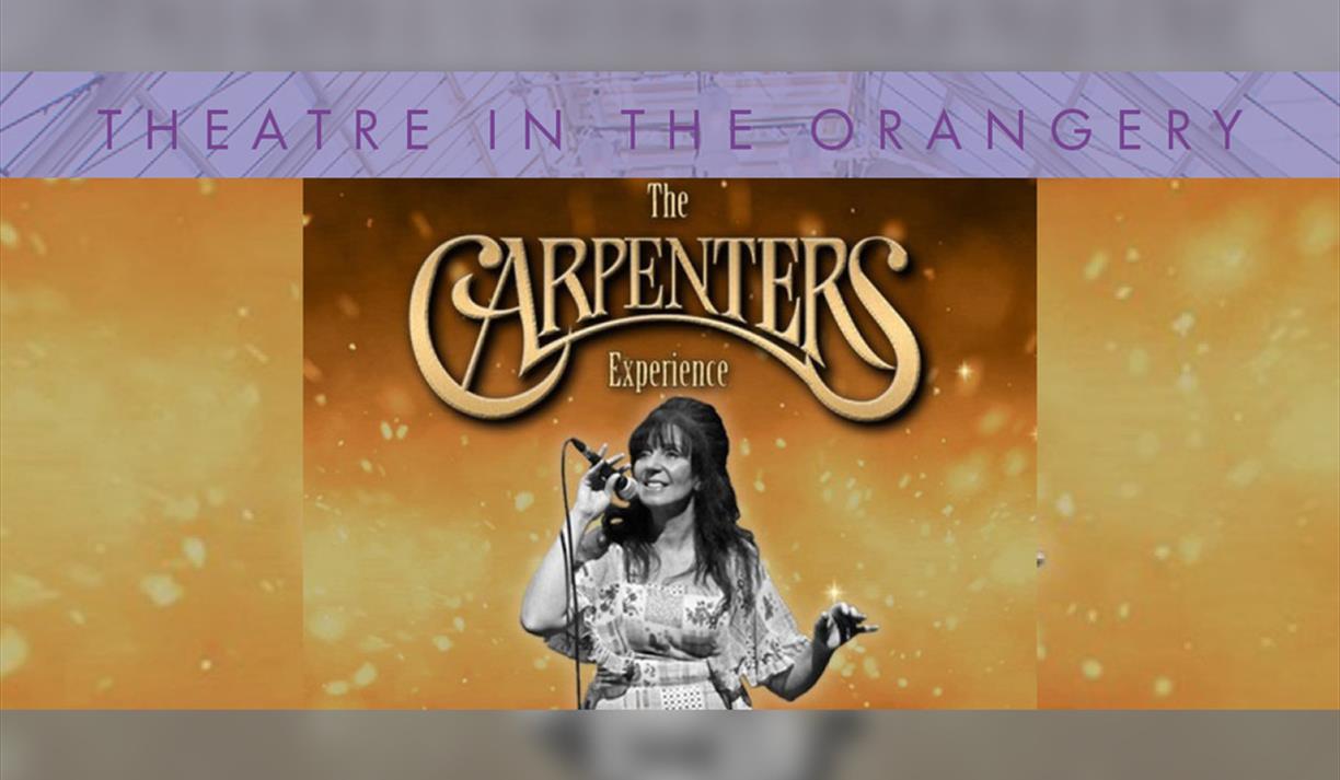 The Carpenters Experience