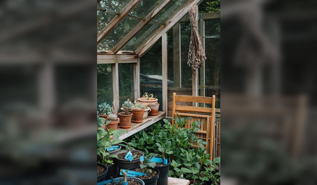 Gardening Basics: Seeds, Bulbs, Annuals and Biennials