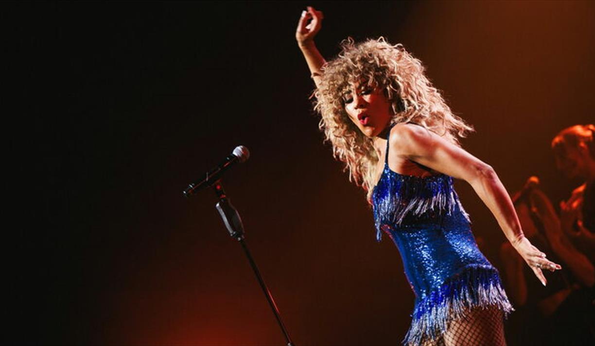 What's Love Got To Do With It?