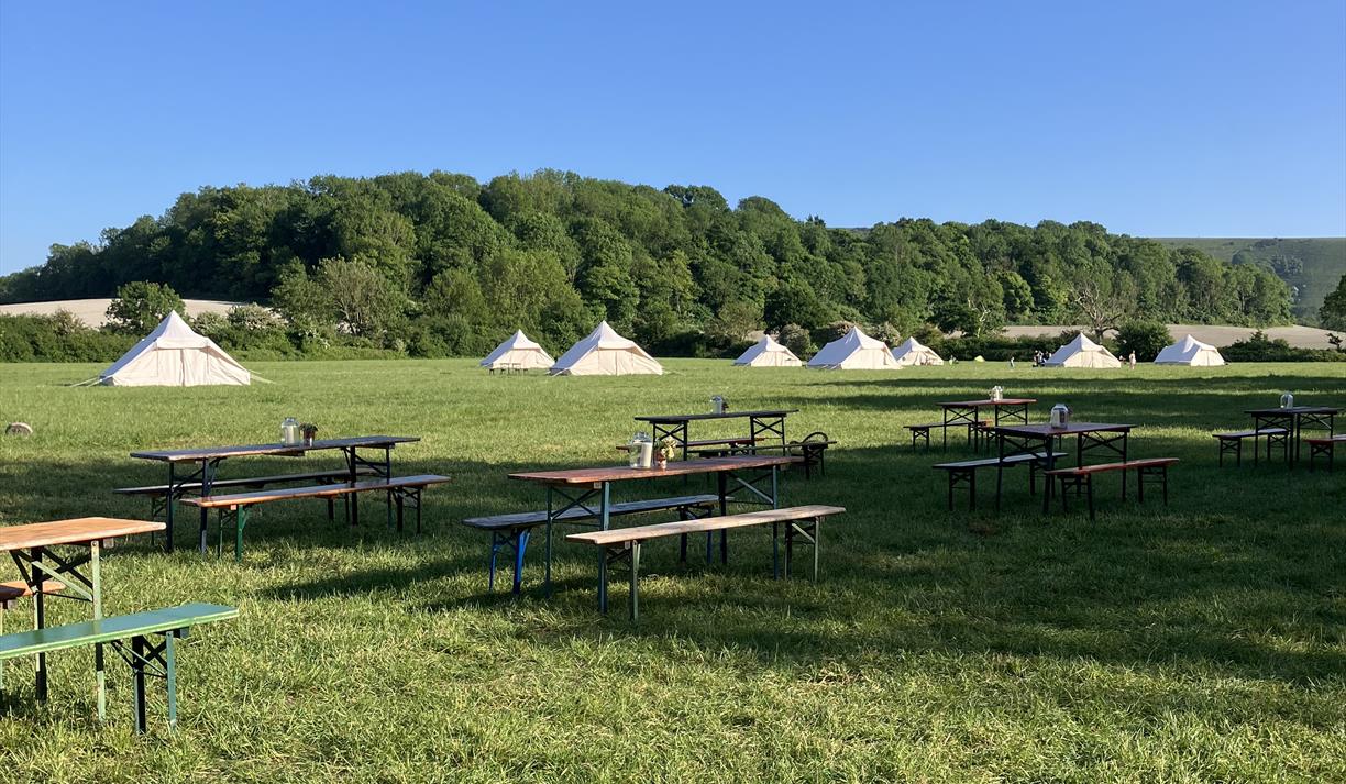 Chapel Field Woodfire Camping