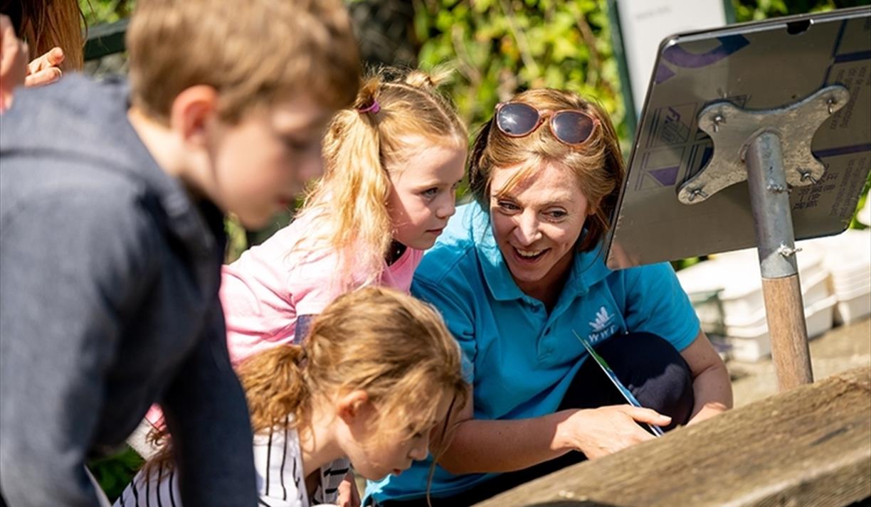 Incredible Insects Learning Session 8-11 yrs