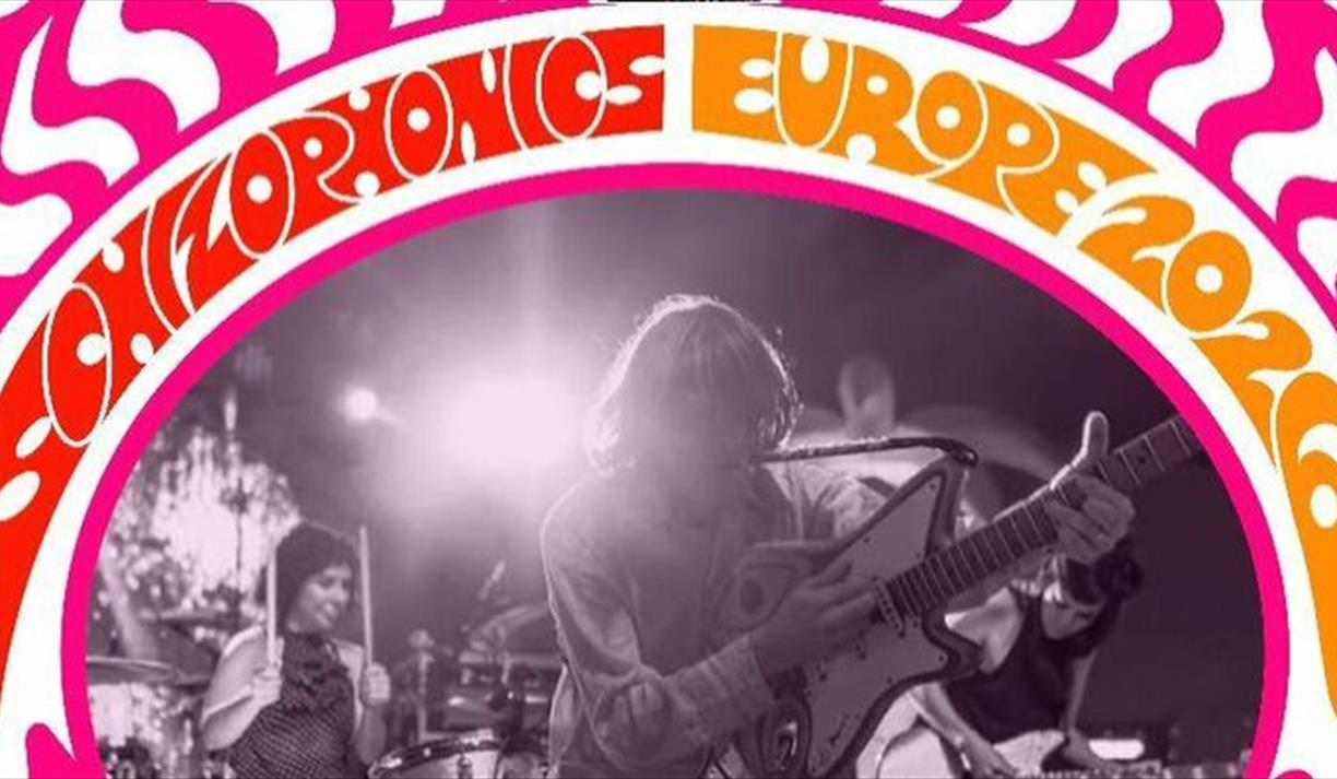 Stay Sick Present Schizophonics (San Diego)