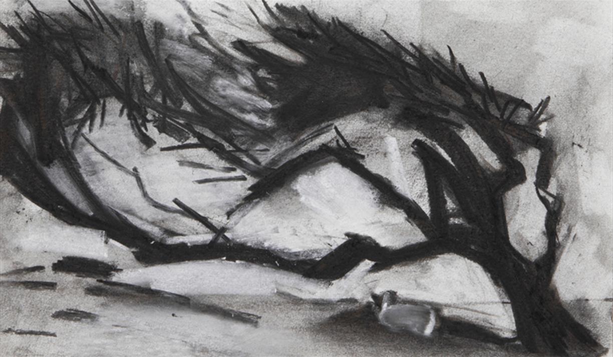 Julian Le Bas: Elemental