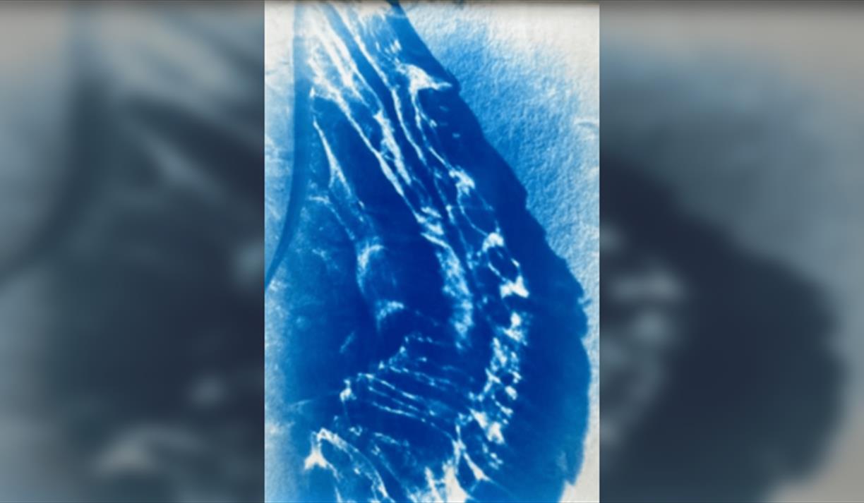 Sea Themed Cyanotypes with Nina Garstang