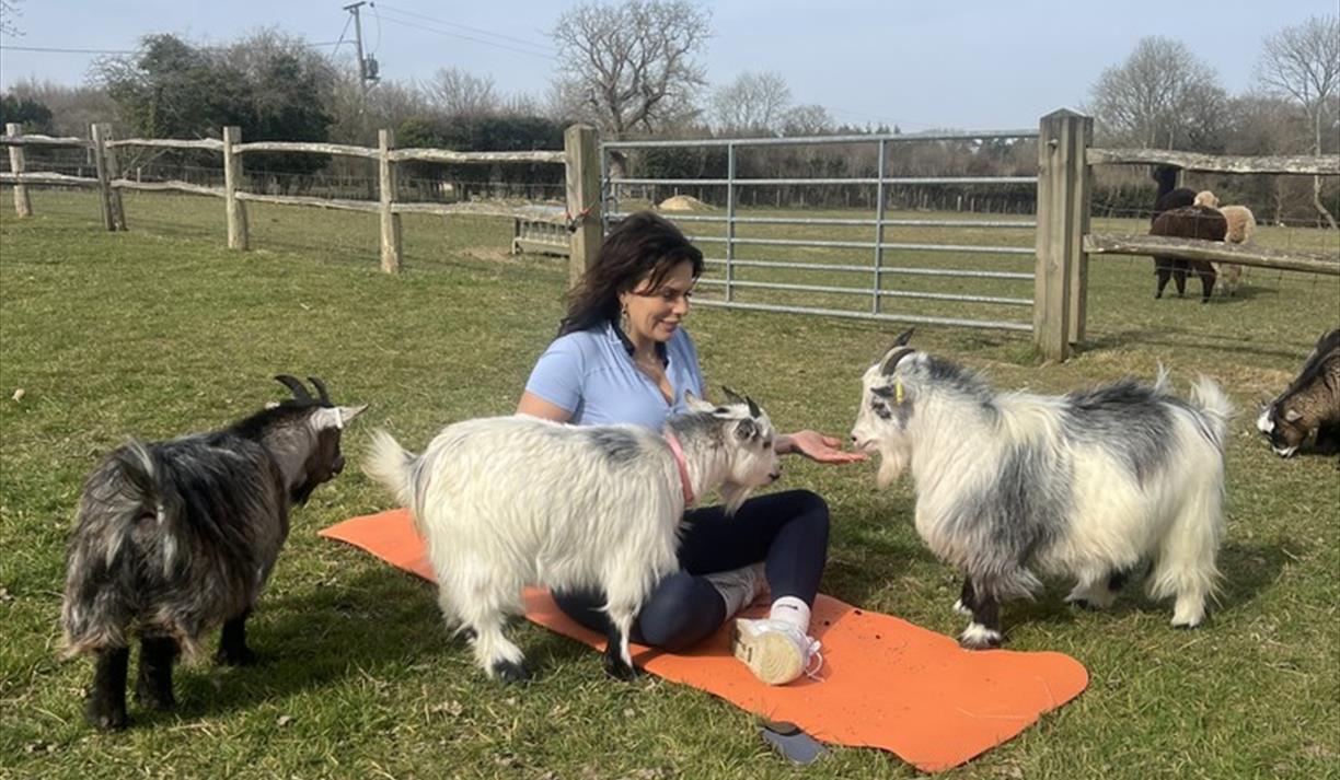 Goat Yoga Experience