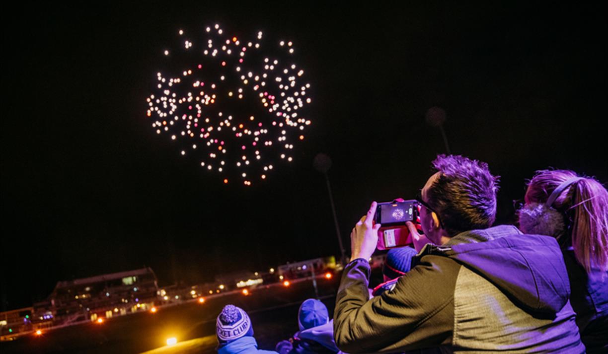 WILD: The Drone Light Show