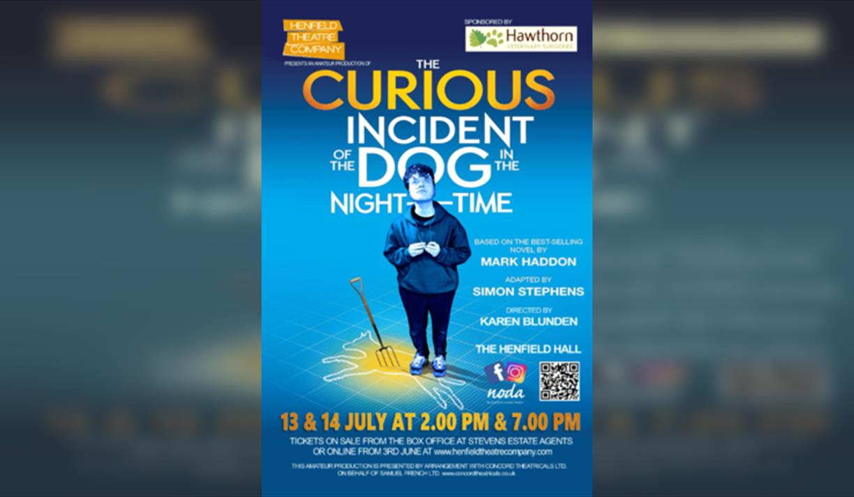 The Curious Incident of the Dog in the Night-Time