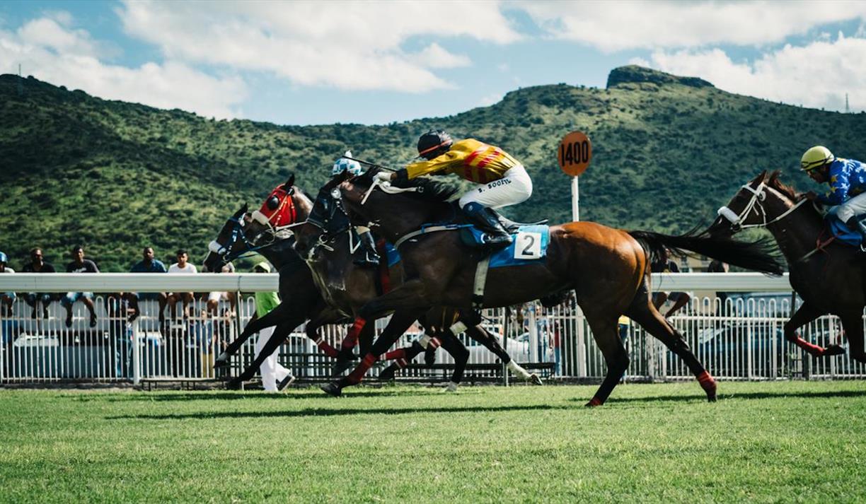 Colorful jockeys in horse race