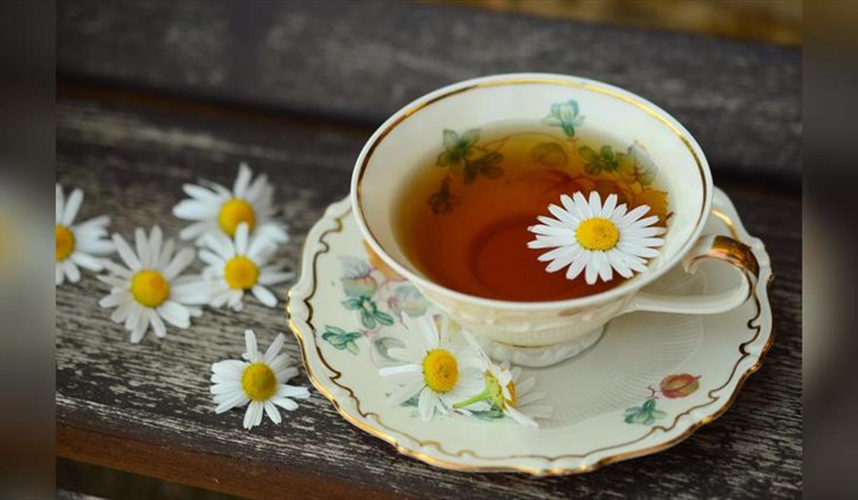 Magical Tea Making: Mix Your Own Herbal Tea Blend